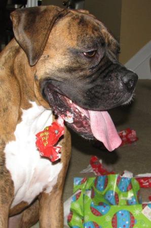 Wrapping Paper