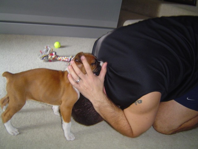 Wrestlin' with Daddy