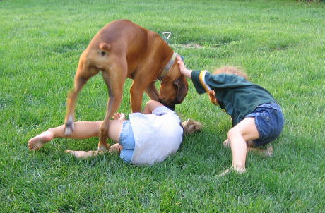 Wrestling some more!
