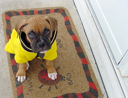 Wrigley at 9 weeks