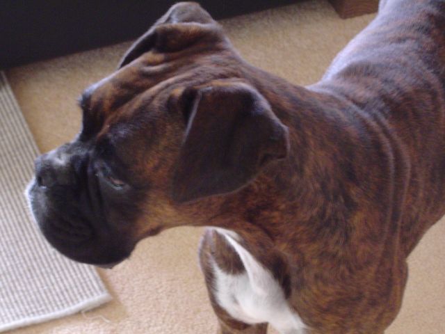 Wrinkle head