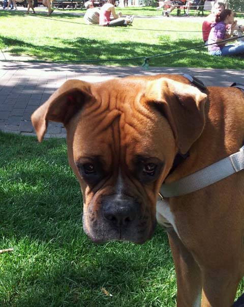 Wrinkles