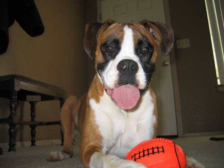 wtyson2