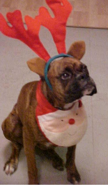 X-mas_baby