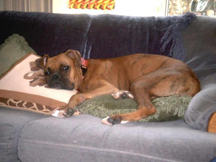 Xanadu Nappin