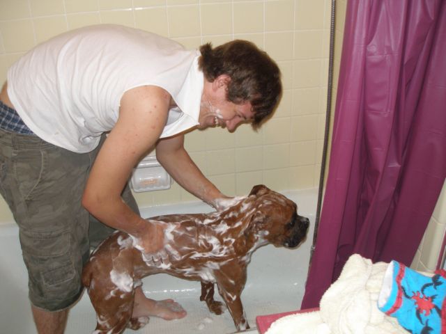 Xander bathing Brad :)