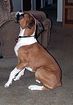 Xena Arguing with Daddy