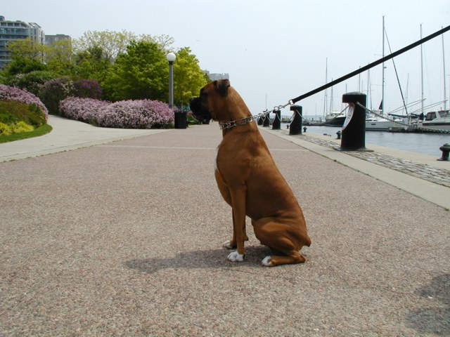Xena at Harbourfront
