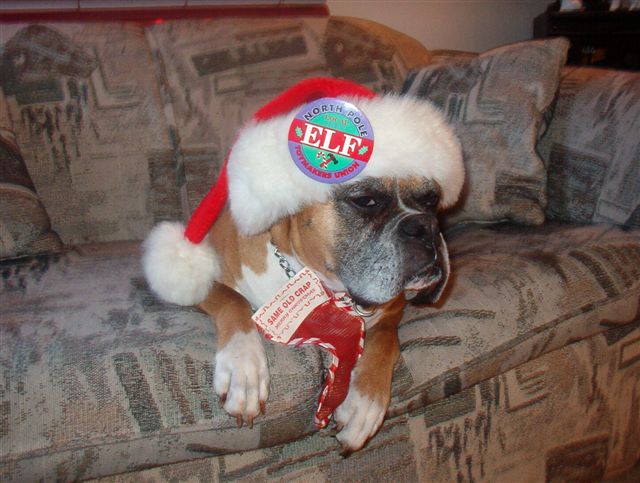 Xena - Christmas 2003