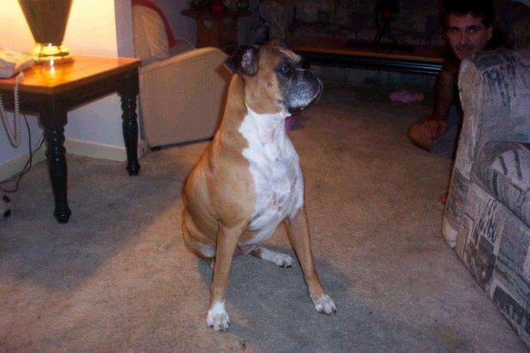 Xena Hears Something!
