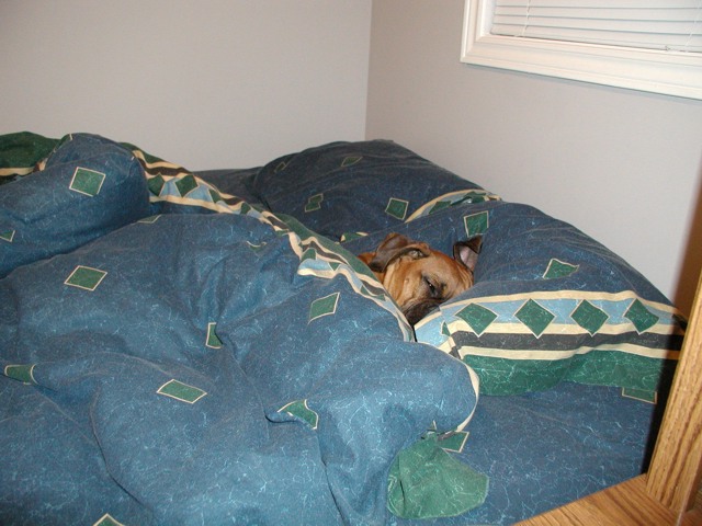 Xena in Bed