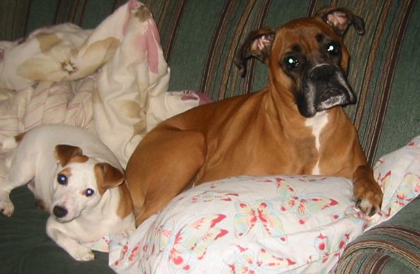Xena & Maggie 2005