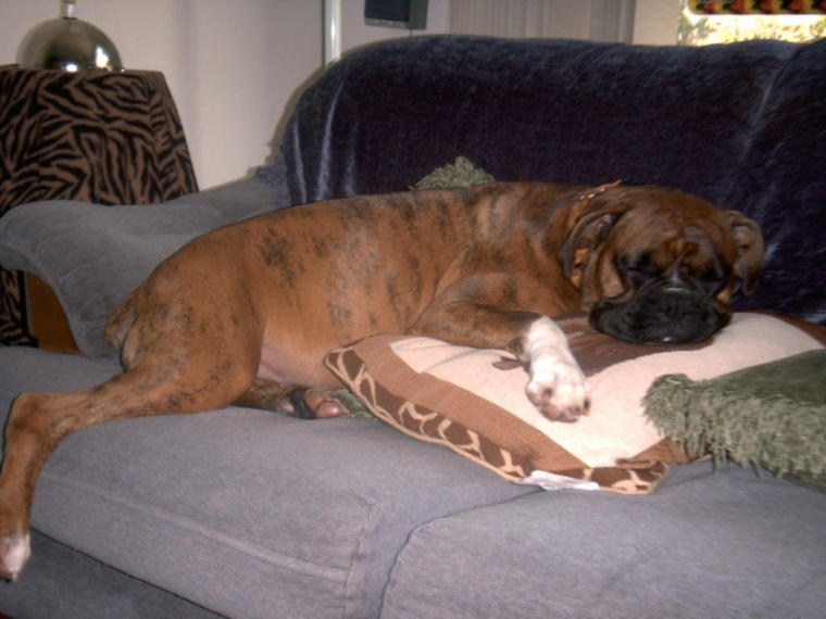 Xena Nappin