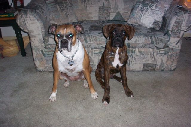 Xena & Spirit