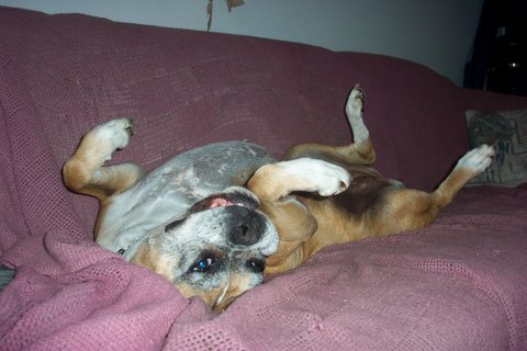 Xena Working It For The Camera