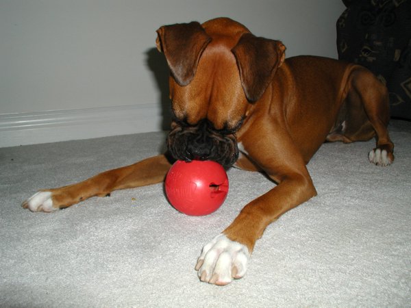 Xenie With Her Kong