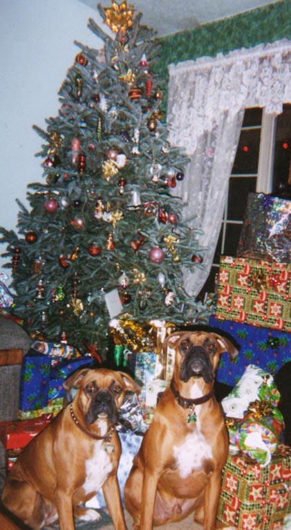 Xmas 04 Furbabies