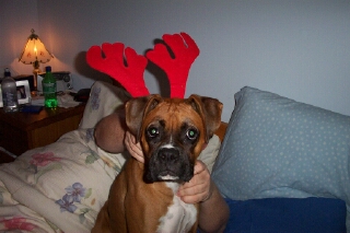 xmas 2003