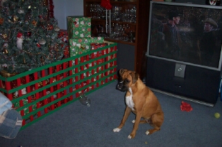 xmas 2003