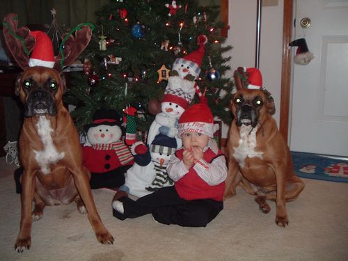 XMAS 2006