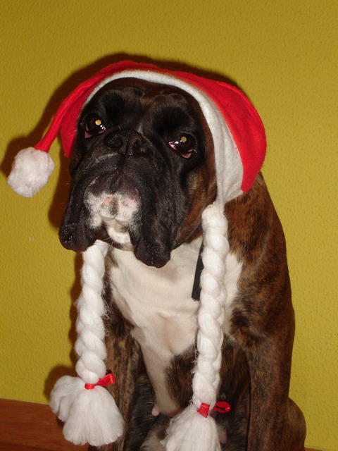 Xmas 2006