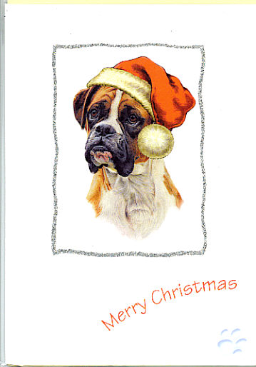 xmas card 2