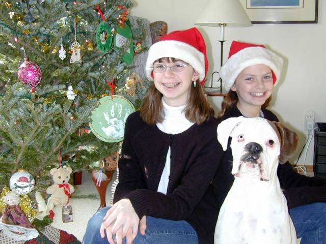 xmas1