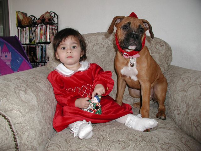 xmas_002_halfsize
