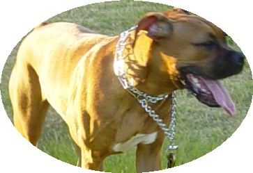 Xuxa again -