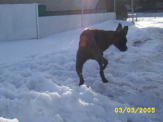 Yah, Snow!!