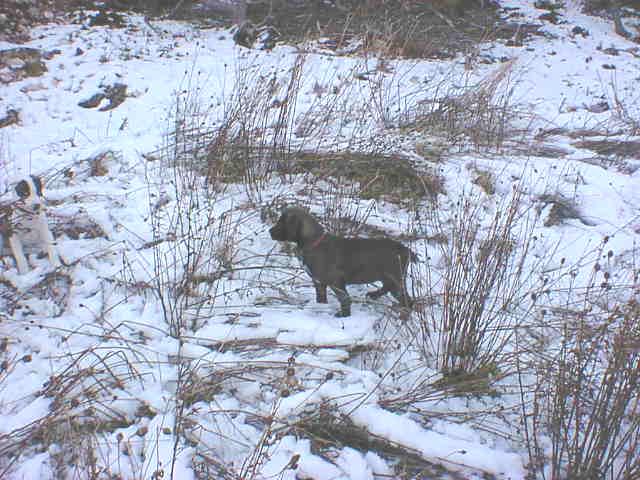 Yathus et Athos dans la neige