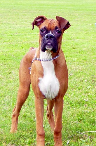 Yeah, I'm a big boy now!