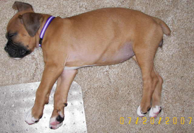 Yeah, I'm sleepin