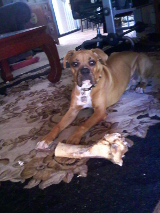 Yeah, that's my latest kill.