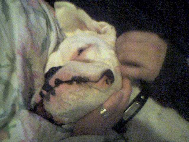 Yeah, that's the spot!!!!