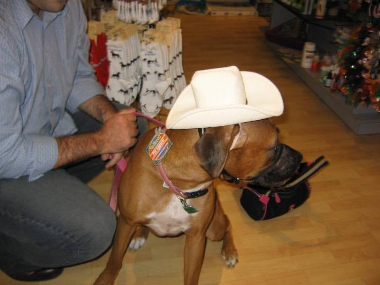 Yee Haw!  Just in town for supplies!