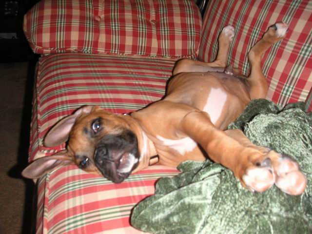 Yep, I'm comfy!
