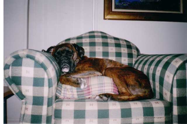 yes i am comfy thanks