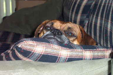 Yes, I know exactly how precious I am.