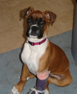 Yes Mum im listening