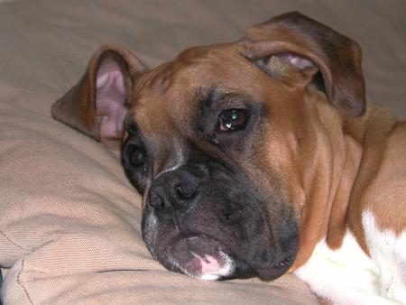 Yes, my bed, I'm so comfy.