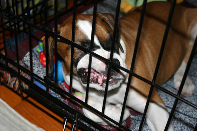 yes, she CHOSE to sleep like this