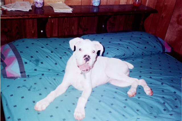 Yes, this is MY bed!