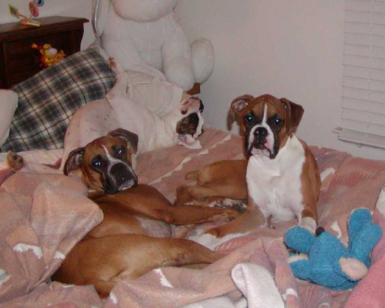Yes...we are TRYING to sleep