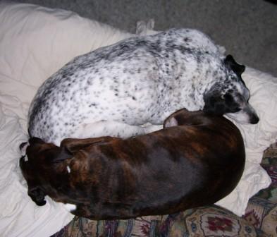 Yin and Yang
