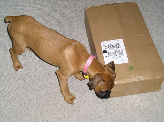 Yippy a package for me