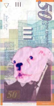 Yogi in Israeli money