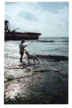 Yogi on the water