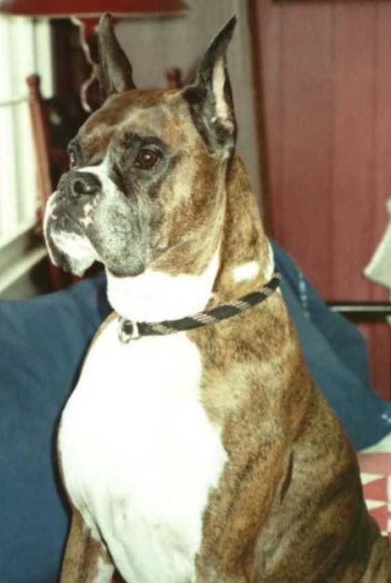 Yoni guarding the house