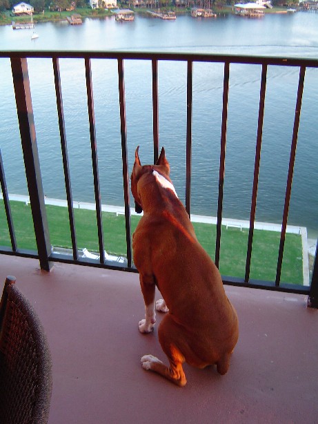 YoooHoooo...Up Here!